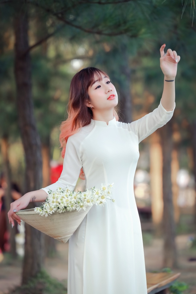 禁忌之笼